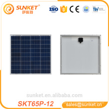 panel solar polivinílico transparente de bajo costo 65w tuv Grado A células